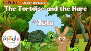 Childrens Story  Tortoise and the Hare told in isiZulu  Beginner Zulu Lessons  zululessons.com