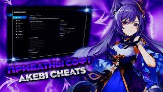  ЛУЧШИЙ ЧИТ НА ГЕНШИН ИМПАКТ 3.5+  THE BEST CHEAT FOR GENSHIN IMPACT 3.5  Приватный софт Акеби