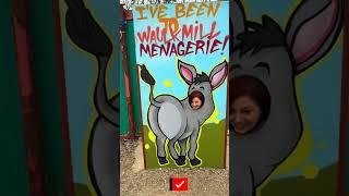 Hilarious Break From Breastfeeding Goat Yoga for New Moms ‍️  Breastfeeding Vlogs 2024