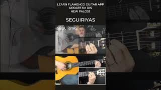 SEGUIRIYAS- LEARN FLAMENCO GUITAR APP #flamencoguitar #guitar #guitarlesson #seguiriyas