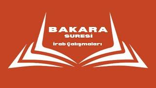 Bakara Suresi 36 - Darb-ı Mesel Fahişat İfadesi ve Araf 727-29 Rüşd Kavramı Soru & Cevap