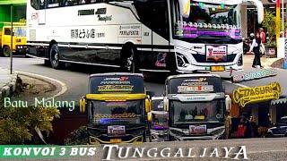  MOMEN ISTIMEWA  FULL TELOLET BASURI BUS VIRAL KIDS PANDA  KONVOI 3 UNIT BUS TUNGGAL JAYA