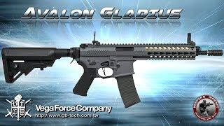 Review VFC Avalon GLADIUS PDW inkl. Technik - SAEG Test - 6mm AirsoftSoftair - 4K UHD