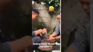 temen jahat#viral #shorts #short