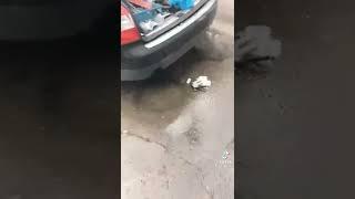 Auto zalane ale do roboty jechać trzeba 