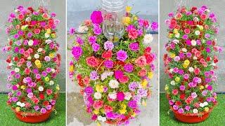 Ideas to recycle plastic bottles into brilliant moss rose towers for the garden