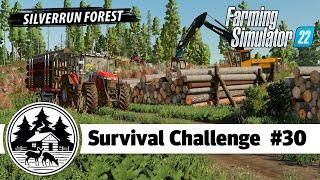 MADE A MILLION BUCKS FROM WOOD - Platinum Edition - Farming Simulator 22 -  Survival Challenge