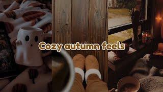 Cozy Fall TikTok Compilation️  allaboutfall