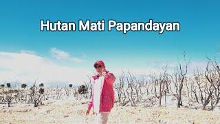 Hutan Mati Papandayan