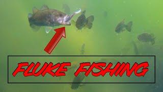 Underwater Bass Footage with CRAZY New Fluke Rigging Trick