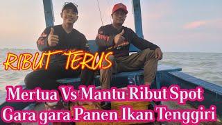 MERTUA DAN MANTU RIBUT SPOT PANEN IKAN TENGGIRI