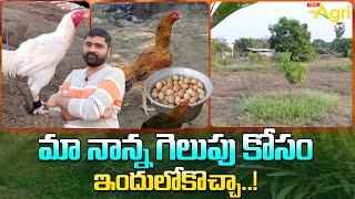 Pandem Kollu Farming in Mamidi Thota  మా నాన్న గెలుపు కోసం ఇందులోకొచ్చా.. Tone Agri