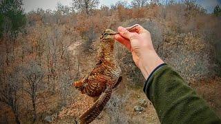 SIK ORMANDA ÇULLUK AVI 2024 - Çulluk Pişirme - WOODCOCK HUNTİNG - охота на вальдшнепа