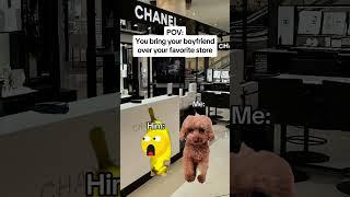 CAT MEMES You bring boyfriend over your favorite store #catmemes #relatable #relationship