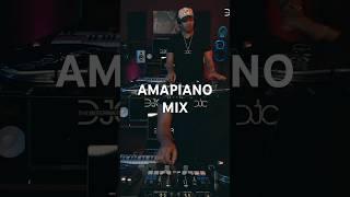 NEW AMAPIANO MIX 2024   BEST OF AMAPIANO MIX 2024 Vol. 3  MIX OUT NOW  #afrobeatmix #musicmix