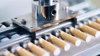 Excellent Factory Tobacco Manufacturing Process. Amazing Cigarette Production Line Modern Technology