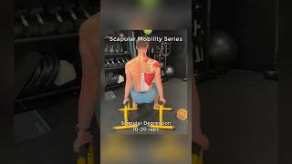 Shoulder Mobility Flow for healthy shoulders and shoulder pain relief