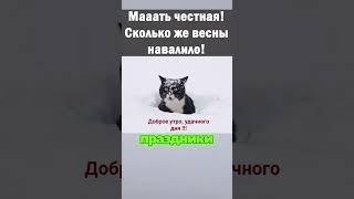 В Свердловской области выпал снег 30 см