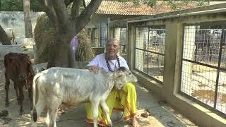 Sri Ramana Maharshi did recommend a vegetarian diet  He  was an animal right activist 