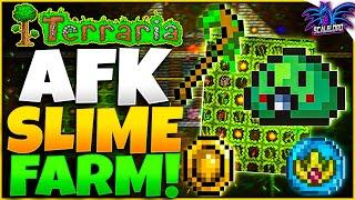 Terraria How to Make AFK Slime Farm EASY