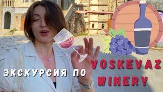 Винодельня Voskevaz  Дегустация армянского вина  Vlog  Shushan Vlogs