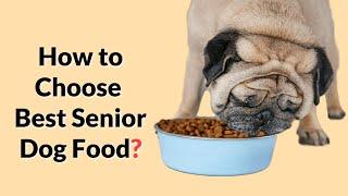 5 Tips to Choose Best Senior Dog food