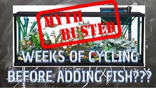 The Fish Less Cycle Myth BUSTED