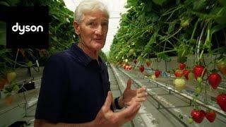 Behind the scenes of Dyson Farming with James Dyson