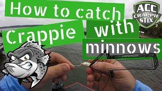 How to catch crappie with minnows - how to rig live bait