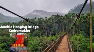 Hanging Bridge in Kudremukha Reserve Forest #Sancharirishi #kudremukh #himalayan