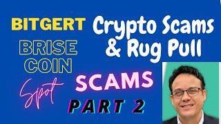 Crypto Scam Alert - Bitgert.com - BRISE Coin $BRISE  - PART 2 - Full Research Video