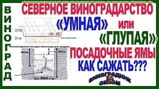   Как сажать виноград на севере. Умная и глупая посадочные ямы. Школа виноградаря 2019. Часть №9.