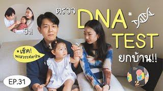 DNA Test  จงเบแฟมิลี่ตรวจ DNA กันยกบ้าน l Jongbaes Family EP.31