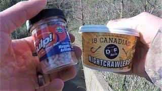 Whats Better for Catching Bait?  Berkley Gulp vs Real Worms