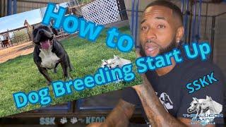 How to start dog breeding and what to expect?