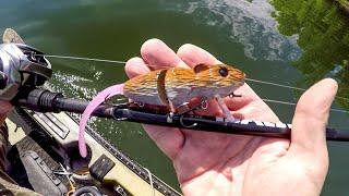Trying A New Rat Lure On Smallmouth Bass