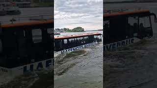 Swim-Bus Driving into Water