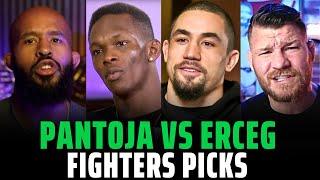 UFC 301 Alexandre Pantoja vs Steve Erceg Fighters Picks