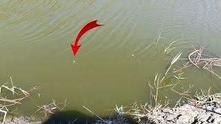 The second part of the fun fishing video