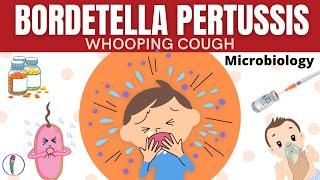 Whooping cough  Bordetella pertussis - All you need to know