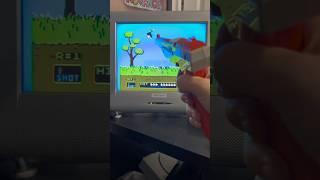 Playing Mario  Duck Hunt