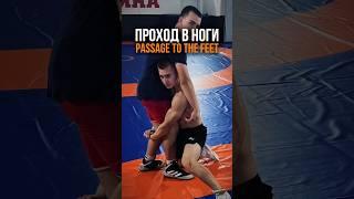 КАК СДЕЛАТЬ ПРАВИЛЬНО ПРОХОД В НОГИ лайк #вольнаяборьба #mma