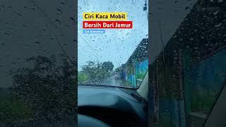 Cara Mengetahui Kaca Mobil Bebas Jamur