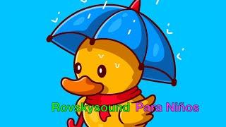 Cinco Patitos  Canciones Infantiles - Super Simple Español  Five Little Ducks Lagu Anak  Kids Songs