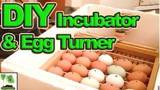 30 Chicken Eggs 1 Homemade Incubator With Automatic Egg Turner 2018