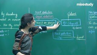 JEE Chemistry  Introduction to Solution  Theory  In English  Misostudy