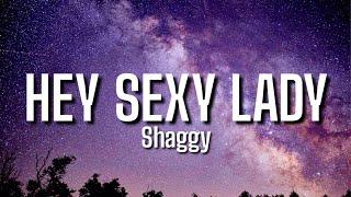 shaggy - hey sexy lady lyrics hey sexy lady I like your flow tiktok song