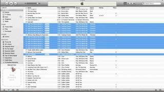 iTunes Tutorial - How to Create an Manage a Playlist in iTunes