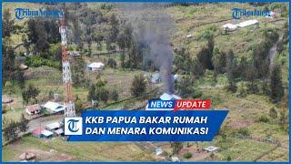 Berulah Lagi KKB Papua Bakar 2 Rumah dan Menara Telekomunikasi