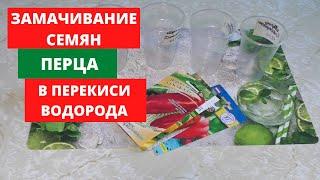 Как правильно замачивать семена перца в перекиси водорода.